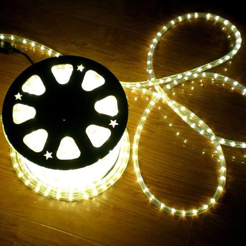 24v12v低压彩虹管灯带美耐灯led圆二线 户外装饰灯条灯光节造型灯