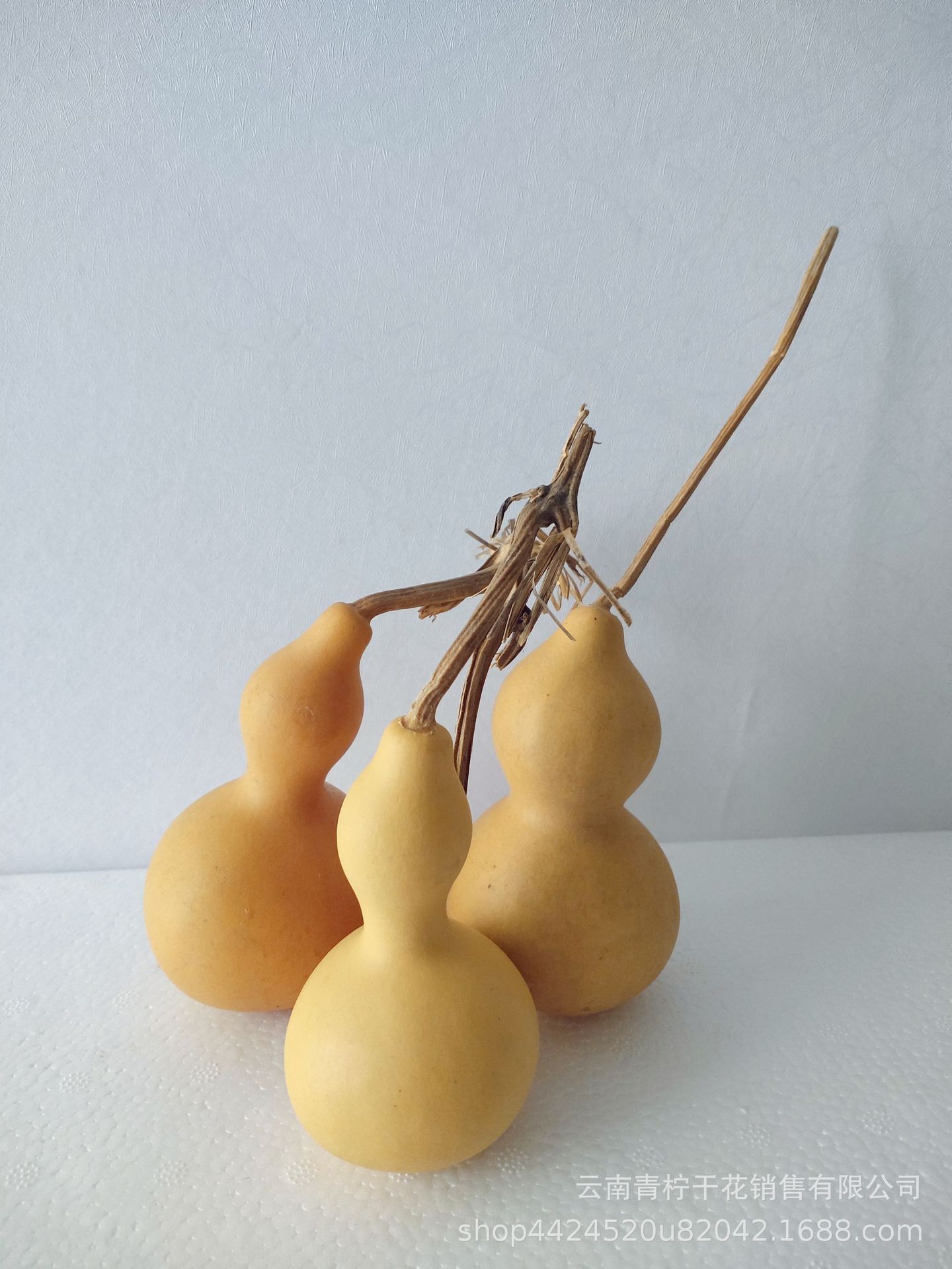 小葫芦小葫芦手捻葫芦文玩葫芦禅意干花拍摄道具