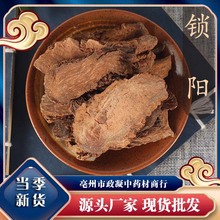 阿拉善金锁阳切片500g男性滋补泡水茶泡酒料中药材