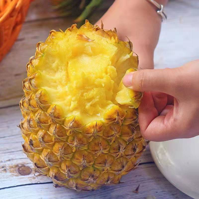 海南金钻凤梨当季热带手撕凤梨水果香甜可口产地直发无眼大菠萝