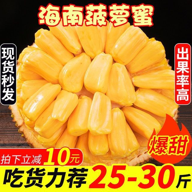 海南特产黄肉菠萝蜜当季新鲜热带水果干包一整个大果肉干苞-阿里巴巴