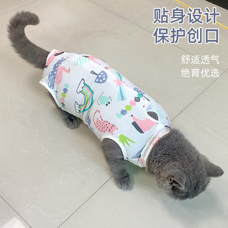 母猫绝育手术服