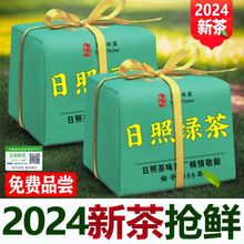 日照绿茶特级茶叶2024新茶耐泡散装浓香型高山云雾送杯子