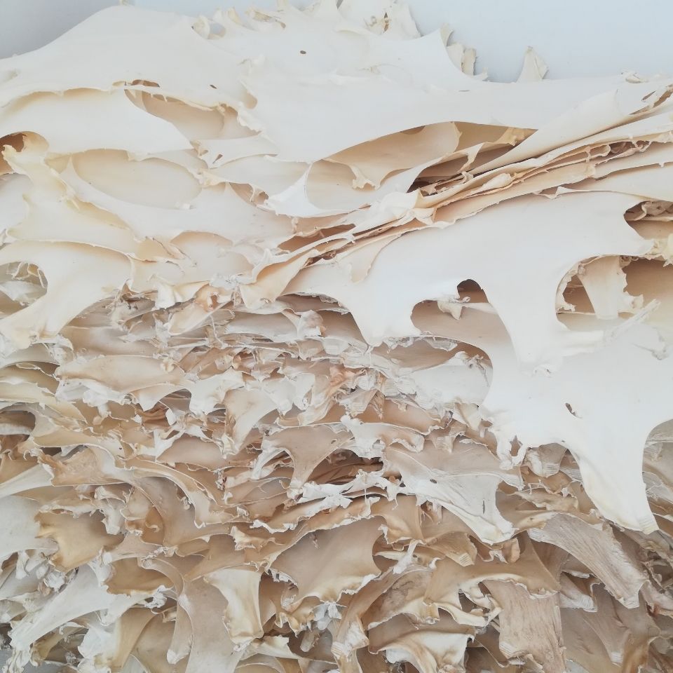 山羊皮非洲鼓鼓皮手鼓鼓皮扇鼓鼓面秦琴面大小二胡面三弦面