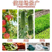 瓜果实蝇诱粘剂果蝇诱捕器神器菜园果园果树杀虫剂灭针蜂药引诱剂