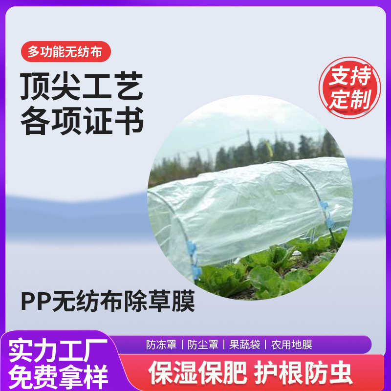 pp无纺布卷现货批发果蔬防寒面料淋膜印花复合布料彩色纺粘无纺布