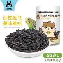 宠尚天油葵小瓜子小零食黑珍珠瓜籽虎皮牡丹玄凤鹦鹉饲料鸟粮鸟食