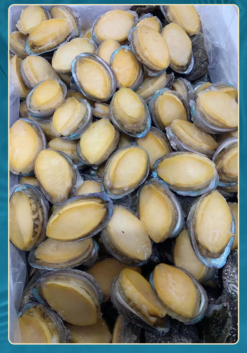 厂家货源即食鲍鱼大连带壳鲍鱼餐饮饭店即食海鲜供应一件代发
