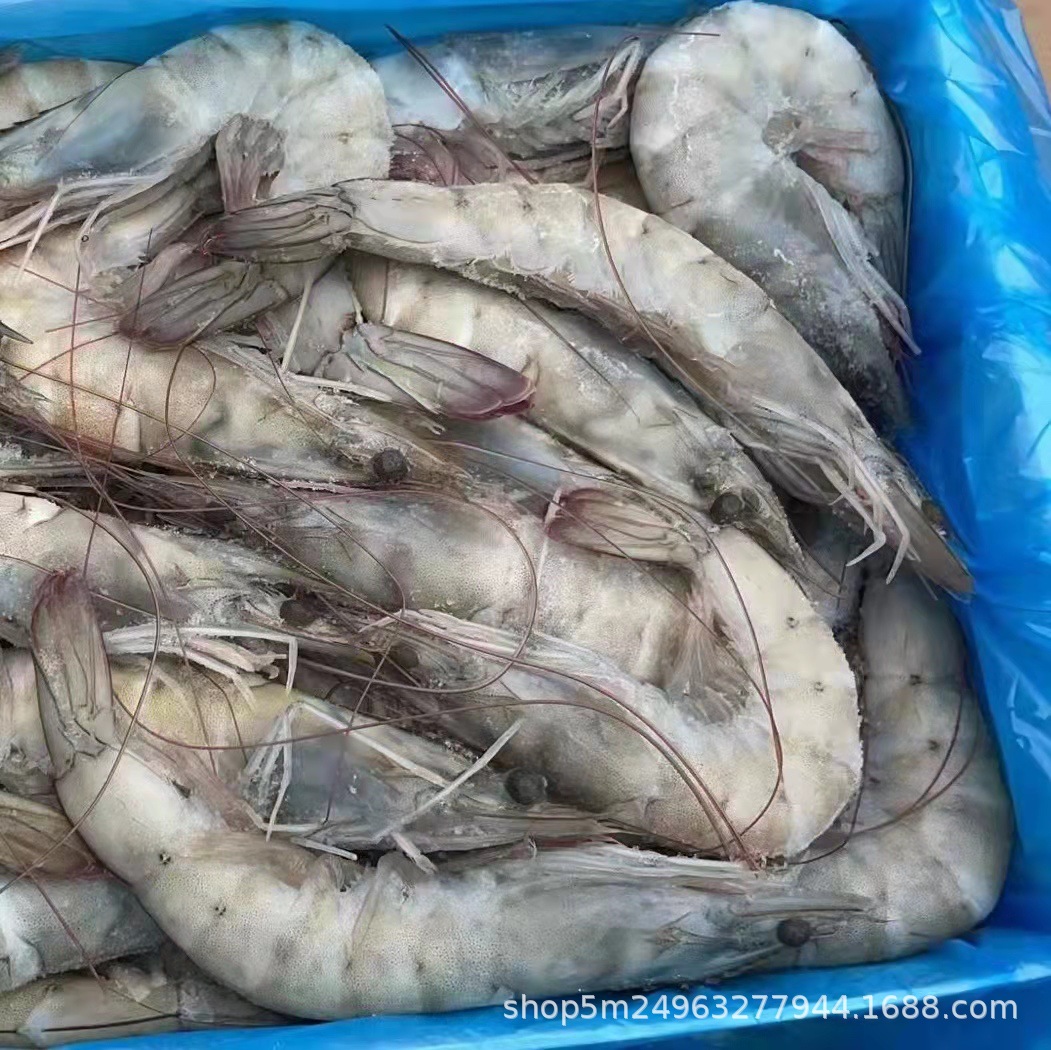 盐田盐冻盒装大虾 厄瓜多尔白虾盐冻虾基围虾南美虾对虾 酒店虾