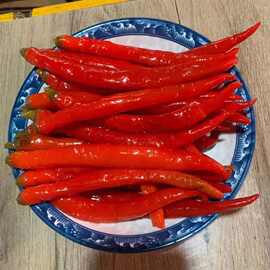 四川泡椒辣青红泡椒二荆条泡辣椒酸辣椒真空无水包装500袋