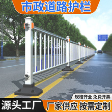 市政道路护栏马路人行道交通防撞栏城市围栏道路隔离栏市政护栏