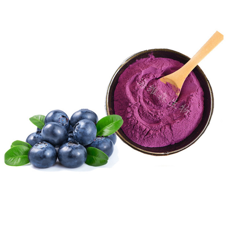 蓝莓粉 食品应用蓝莓果粉 蓝莓提取物 蓝莓汁粉 花青素 量大从优