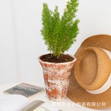 创意手工彩色透气红陶花盆蝴蝶兰绿植花器室内多肉盆栽陶瓷花盆