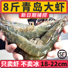 新鲜大虾鲜活青岛特大基围虾冷冻速冻白虾类海虾对虾超大海鲜水产