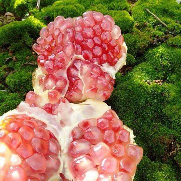 云南蒙自薄皮水晶石榴新鲜水果净重4.8-5斤装蒙自石榴一件代发