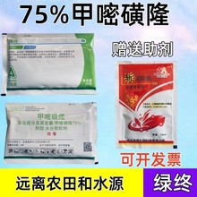 包邮辉丰绿纳75%甲嘧磺隆绿终公路墓地除草剂杀大树烂根杂草灌木