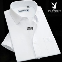 Hx职业半袖棉质高档品质短袖白衬衫男式中青年商务正装免烫长袖衬