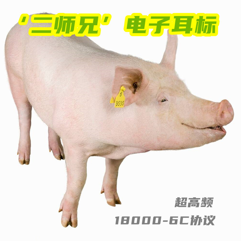 69成交0套鑫业rfid猪耳标牛耳标羊耳标低频动物电