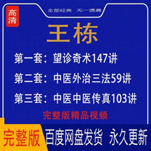 望诊王栋针灸传真高清外治三法全集奇术视频中医完整版课程老师