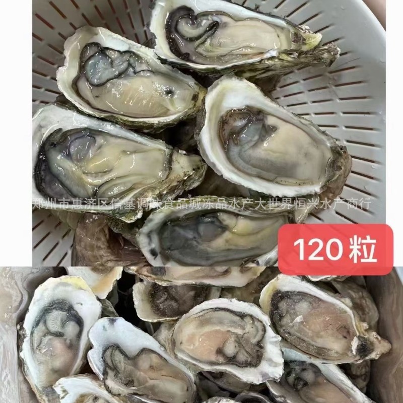 20斤/箱鲜冻生蚝整箱批发 带壳牡蛎海鲜烧烤店摆摊商用生蚝-阿里巴巴