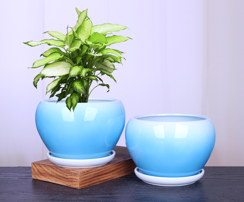 花盆陶瓷大号绿植绿萝花盆创意个性室内阳台兰花盆