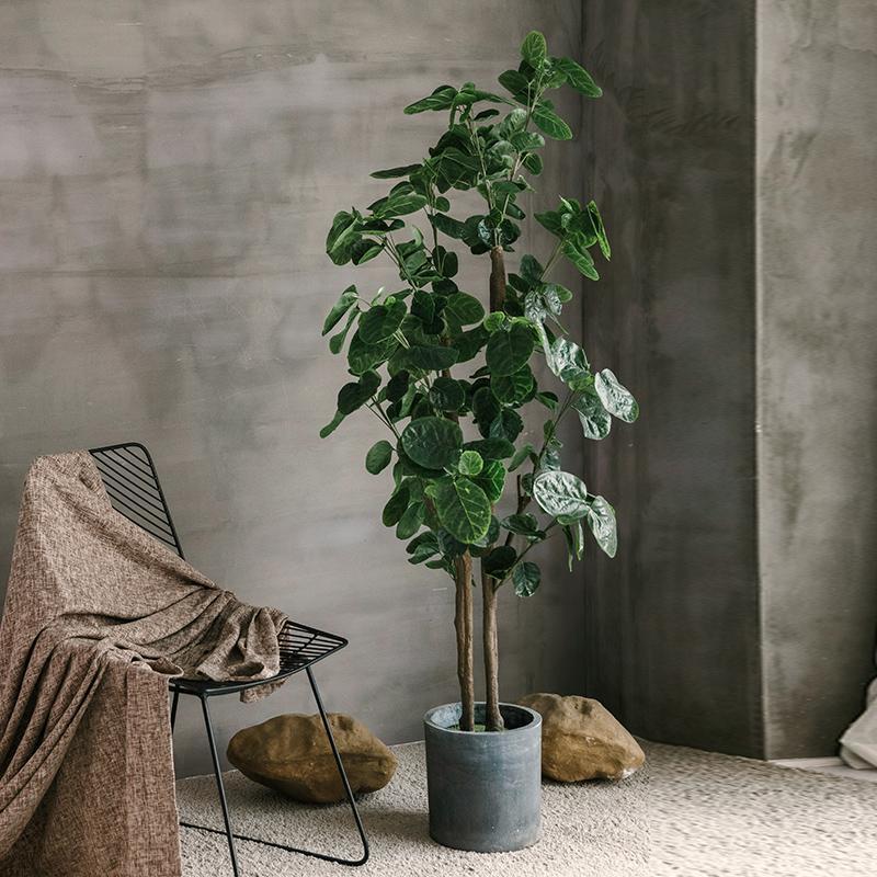 植物装饰绿植盆景北欧风大型假金钱榕树家居室内客厅落地摆件