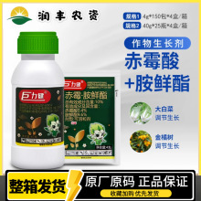 汤普森 巨力健10%赤霉酸胺鲜酯白菜果蔬增产抗旱抗病调节生长剂