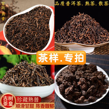 老茶头普洱茶熟茶云南勐海古树陈年陈香原味沱茶口粮茶自己喝批发