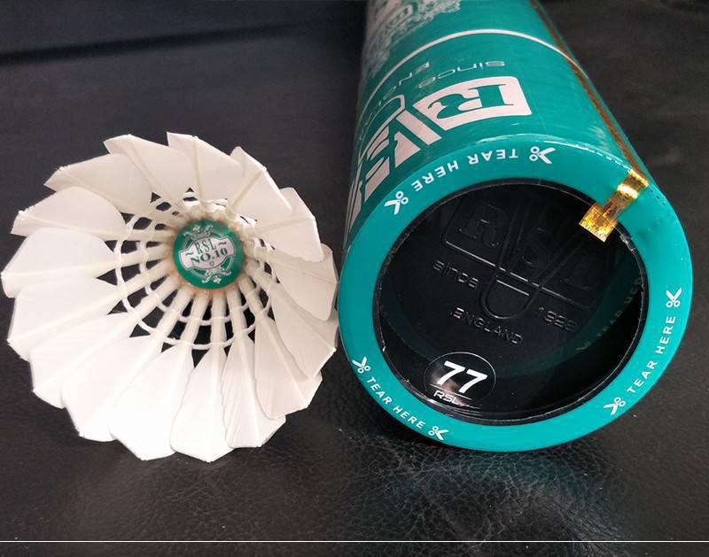 rsl亚狮龙10号球耐打12只 室内室外训练羽毛球学生鹚鸪鸭