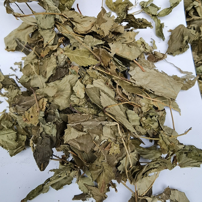 广西中药甜茶叶 覆盆子叶 刺儿茶甜叶茶广西大瑶山野林甜茶叶