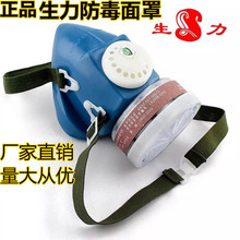 杭州蓝天生力 双罐单罐防毒面罩 活性炭喷油漆自吸过滤式面具面罩