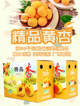 新鲜水果北寨红杏甜杏凯特黄杏 北京平谷软杏酸甜多汁