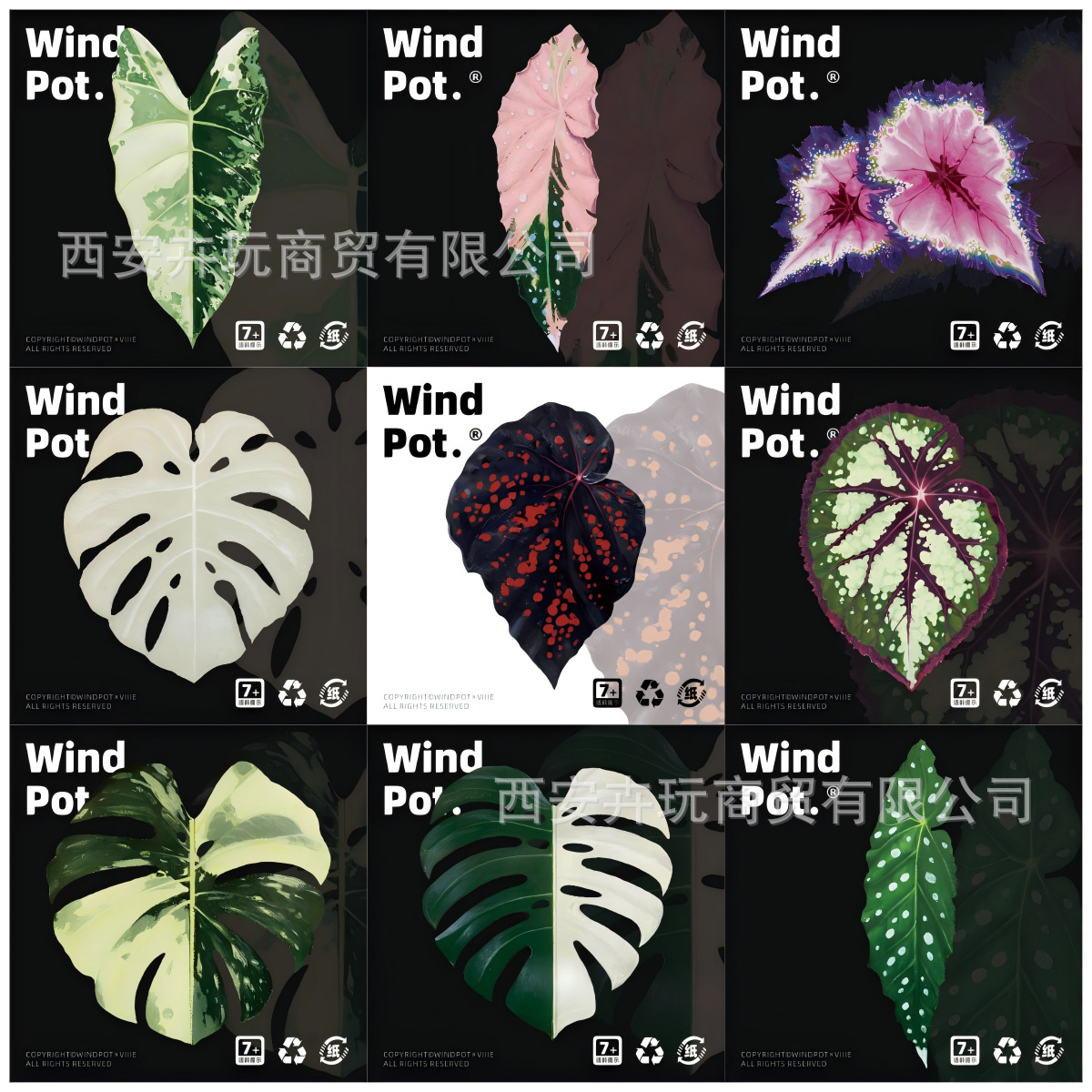 WindPot原创植物磁贴植物冰箱贴植物工艺品秋海棠龟背竹海芋