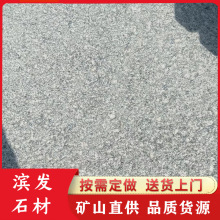 芝麻灰火烧板 花岗岩石材厂家直销 多规格定制 灰麻路边石路侧石