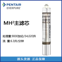 美国滨特尔爱惠浦MH2净水器滤芯EV961326 净水机配件 家用商用