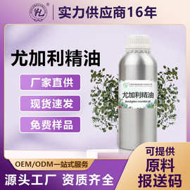 供应尤加利精油单方桉叶油原料植物提取日化香薰化妆品香精香料
