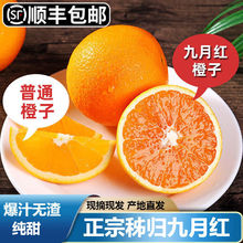 爆甜橙皇伦晚脐橙甜橙子脐橙春橙应季当季新鲜水果一整箱厂家批发