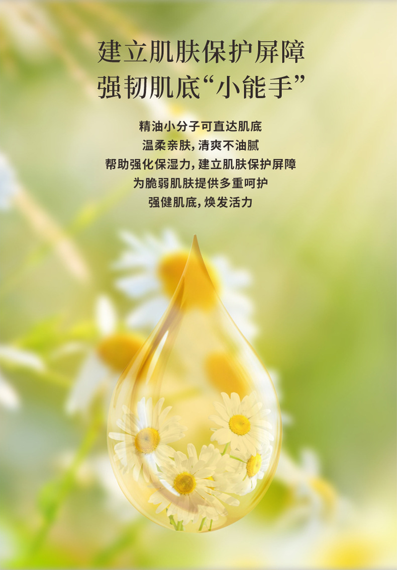 洋甘菊精油10ml身体按摩植物油水溶性批发香薰天然芳香护肤按摩油