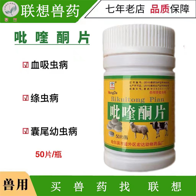 宠物狗绦虫