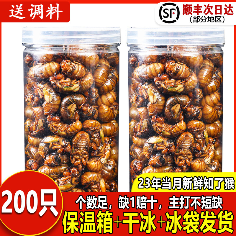 知了猴2023金蝉幼虫鲜活现捕新鲜炸蚕蛹结了龟爬叉猴烧烤淄博顺丰