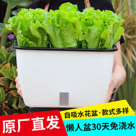 厂家阳台种菜盆草莓盆栽塑料自吸水花盆室外蔬菜家庭院长方形花槽