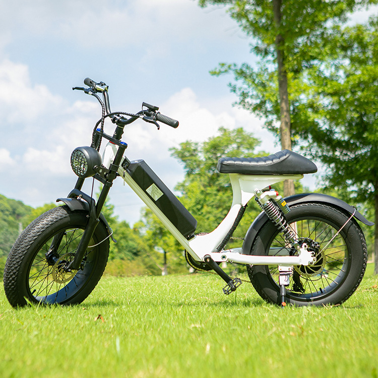 电动自行车锂电池越野electric bike摩托车厂家出口锂电车ebike