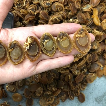 特价100头小鲍鱼250g鲍鱼干批发即食鲍鱼商用佛跳墙煲汤海产品