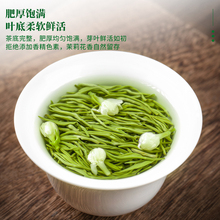 茉莉花茶绿茶茉莉飘雪浓香型2024新茶叶明前绿茶散装250g