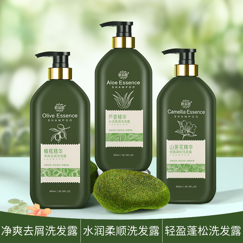 wholesale plant extract essence aloe olive shampoo anti-dandruff soft shampoo moisturizing shower gel hair treatment ointment