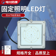 室外工业海洋王加油站化工厂华荣款NFC9192型ZY固定照明LED防爆灯