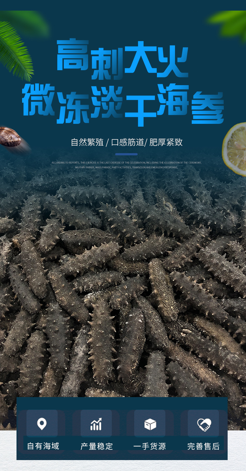 海参批发纯淡干海参干货刺参高刺大火微冻速发干海参海货顺丰包邮