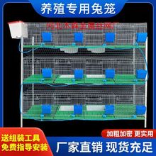 热镀锌免清粪兔子笼9位12位24位养殖场子母笼种兔笼子兔子养殖笼