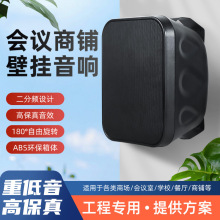 大功率壁挂音箱40W/60W 商场培训教学会议用壁挂音箱 壁挂音响