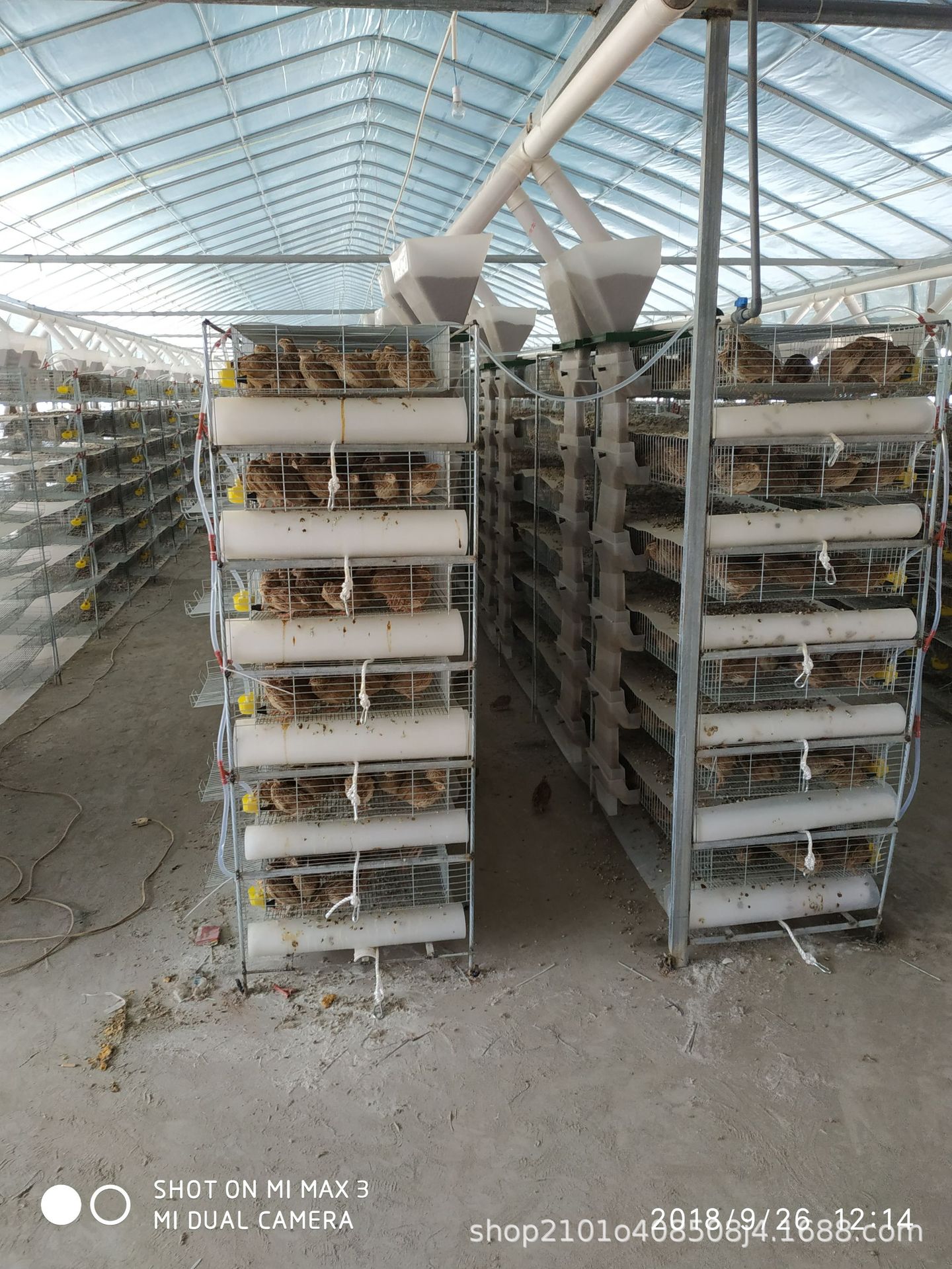 130鹌鹑笼-130鹌鹑笼厂家,品牌,图片,热帖-阿里巴巴